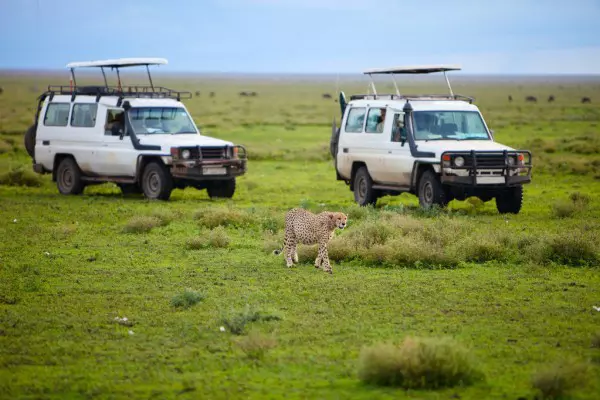 A luxury safari in Tanzania